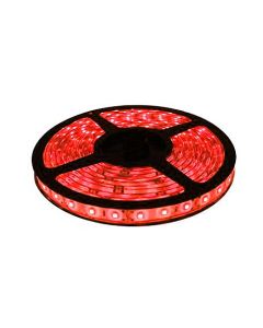 Cinta LED X 5M Roja SMD5050