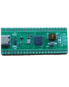 Placa de Desarrollo STM32F401CCU6